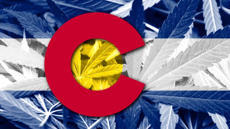 Software Companies In Colorado Changing The Cannabis Industry